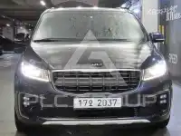2019 KIA Carnival