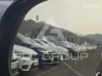 2019 KIA Carnival
