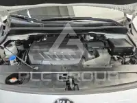 2019 KIA Carnival