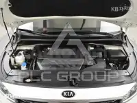2019 KIA Carnival