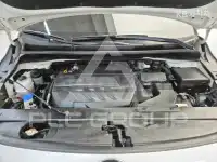 2019 KIA Carnival