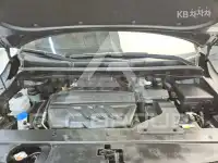 2019 KIA Carnival