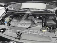 2019 KIA Carnival