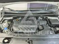 2019 KIA Carnival