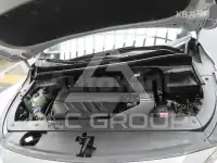 2019 KIA Carnival