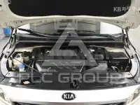 2019 KIA Carnival