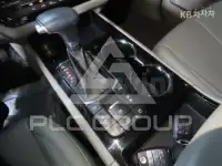 2019 KIA Carnival