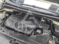 2019 KIA Carnival