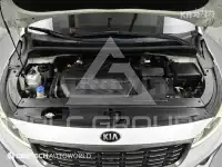 2019 KIA Carnival