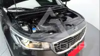 2019 KIA Carnival