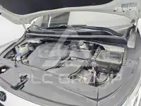 2019 KIA Carnival