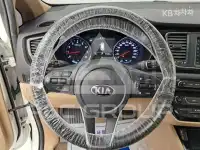 2019 KIA Carnival