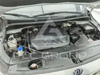 2019 KIA Carnival