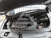 2019 KIA Carnival