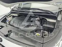 2019 KIA Carnival
