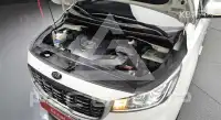 2019 KIA Carnival