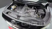 2019 KIA Carnival