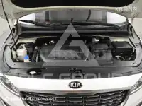 2019 KIA Carnival