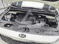 2019 KIA Carnival
