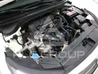 2019 Hyundai Avante