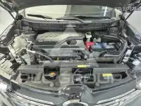 2019 Renault Qm6