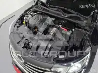2019 Renault Sm6