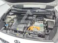 2020 KIA Niro