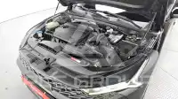 2020 KIA K5