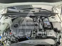 2020 KIA K5