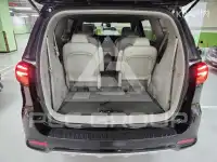 2020 KIA Carnival