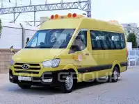 2020 Hyundai Solati