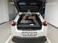 2021 Lexus UX