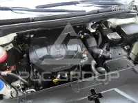 2021 KIA Carnival