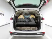 2021 KIA Carnival