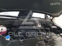2021 KIA Carnival