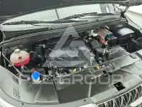 2021 KIA Carnival