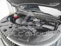 2021 KIA Carnival