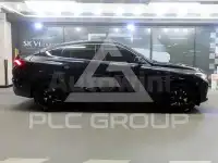 2022 BMW X6