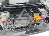 2022 KIA Niro
