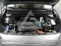 2022 KIA Niro