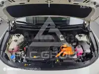 2022 KIA Niro