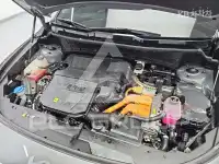 2022 KIA Niro