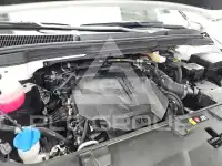 2022 KIA Carnival
