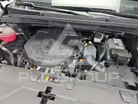 2022 KIA Carnival