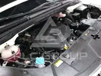 2022 KIA Carnival