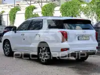 2022 Hyundai Palisade