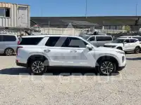 2022 Hyundai Palisade