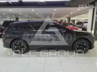 2023 BMW iX