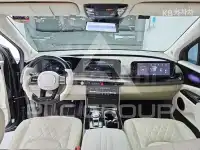 2023 KIA Carnival