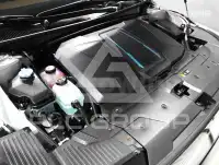 2023 Hyundai Ioniq
